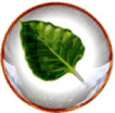Bodhi Linux - Gratis-Download von heise.de